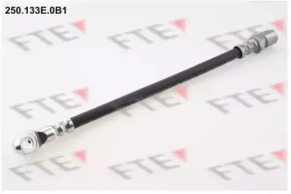 Тормозной шланг FTE купить