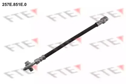 Тормозной шланг FTE купить