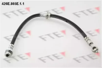 Тормозной шланг FTE купить