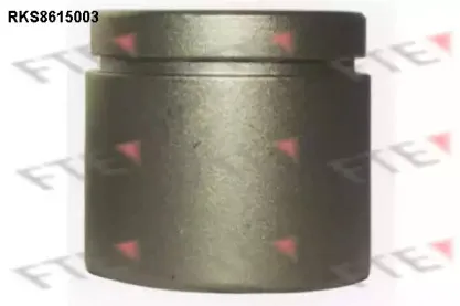 Поршень, корпус скобы тормоза FTE купить