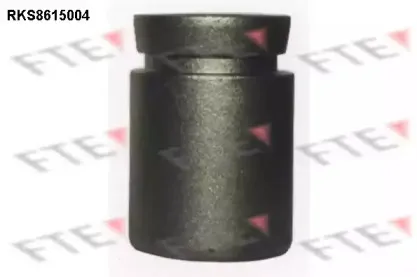 Поршень, корпус скобы тормоза FTE купить