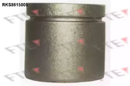 Поршень, корпус скобы тормоза FTE купить