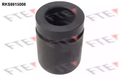 Поршень, корпус скобы тормоза FTE купить