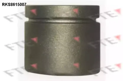 Поршень, корпус скобы тормоза FTE купить