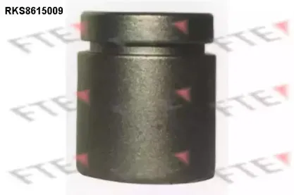 Поршень, корпус скобы тормоза FTE купить