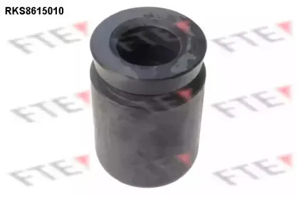 Поршень, корпус скобы тормоза FTE купить