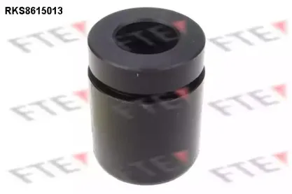 Поршень, корпус скобы тормоза FTE купить