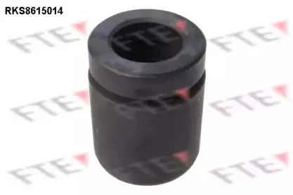 Поршень, корпус скобы тормоза FTE купить