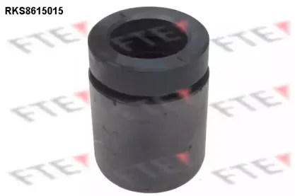 Поршень, корпус скобы тормоза FTE купить