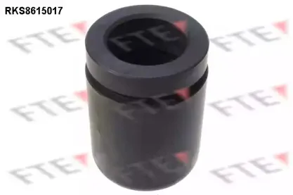 Поршень, корпус скобы тормоза FTE купить