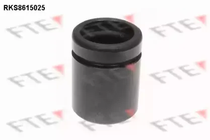 Поршень, корпус скобы тормоза FTE купить