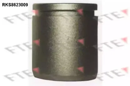 Поршень, корпус скобы тормоза FTE купить