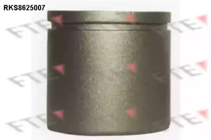 Поршень, корпус скобы тормоза FTE купить