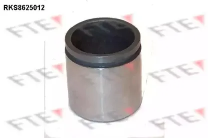 Поршень, корпус скобы тормоза FTE купить