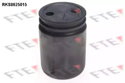 Поршень, корпус скобы тормоза FTE купить