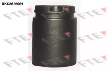 Поршень, корпус скобы тормоза FTE купить