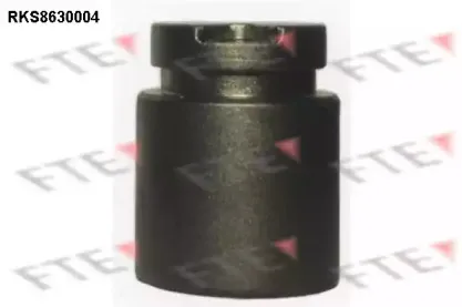 Поршень, корпус скобы тормоза FTE купить