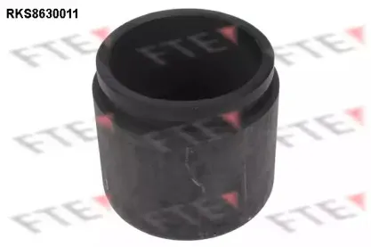 Поршень, корпус скобы тормоза FTE купить