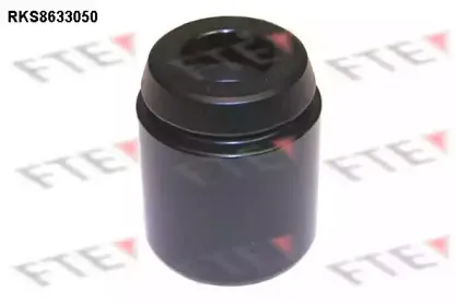 Поршень, корпус скобы тормоза FTE купить