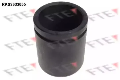 Поршень, корпус скобы тормоза FTE купить