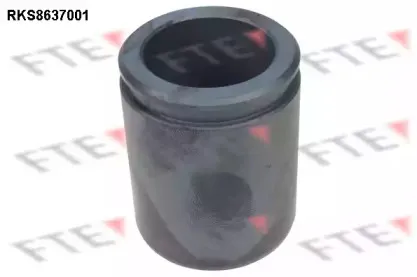 Поршень, корпус скобы тормоза FTE купить