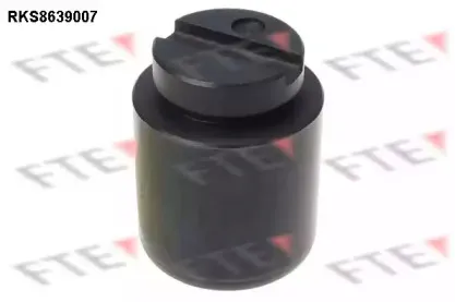 Поршень, корпус скобы тормоза FTE купить