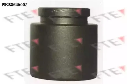 Поршень, корпус скобы тормоза FTE купить