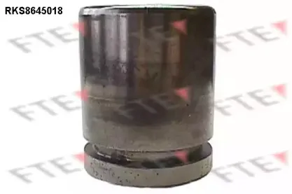 Поршень, корпус скобы тормоза FTE купить