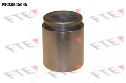 Поршень, корпус скобы тормоза FTE купить