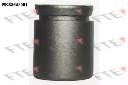 Поршень, корпус скобы тормоза FTE купить