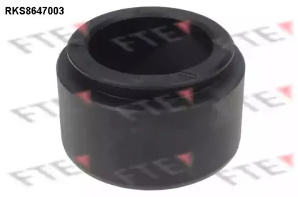 Поршень, корпус скобы тормоза FTE купить