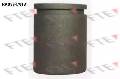 Поршень, корпус скобы тормоза FTE купить