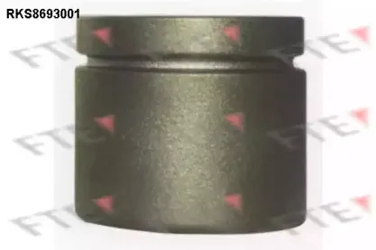 Поршень, корпус скобы тормоза FTE купить