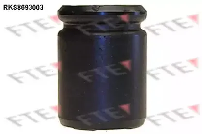 Поршень, корпус скобы тормоза FTE купить