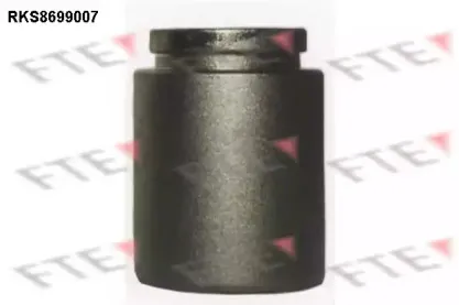 Поршень, корпус скобы тормоза FTE купить