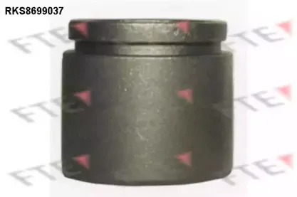 Поршень, корпус скобы тормоза FTE купить