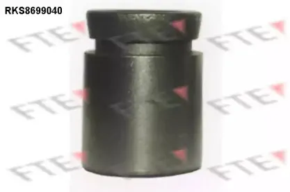 Поршень, корпус скобы тормоза FTE купить