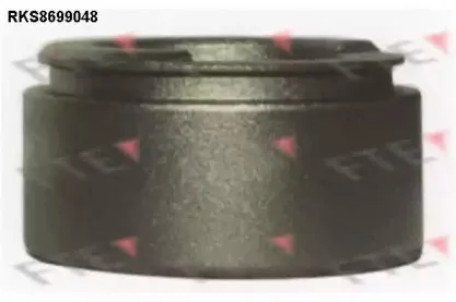 Поршень, корпус скобы тормоза FTE купить