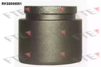 Поршень, корпус скобы тормоза FTE купить