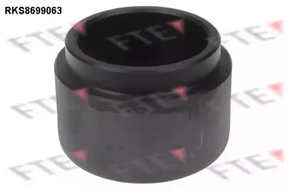 Поршень, корпус скобы тормоза FTE купить