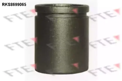 Поршень, корпус скобы тормоза FTE купить