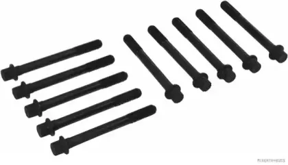 Комплект болтів з головкою системи TORX з чорного металу HERTH+BUSS JAKOPARTS купить