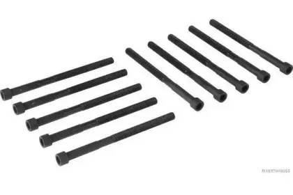 Комплект болтов головки цилидра HERTH+BUSS JAKOPARTS купить