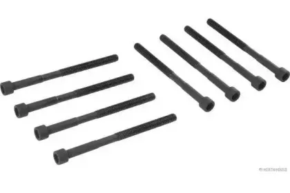 Комплект болтов головки цилидра HERTH+BUSS JAKOPARTS купить