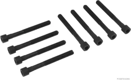 Комплект болтов головки цилидра HERTH+BUSS JAKOPARTS купить