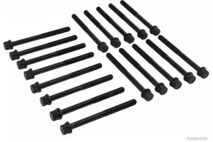 Комплект болтов головки цилидра HERTH+BUSS JAKOPARTS купить