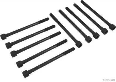 Комплект болтов головки цилидра HERTH+BUSS JAKOPARTS купить