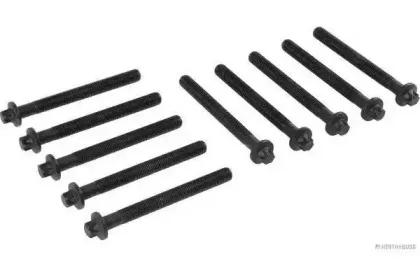 Комплект болтов головки цилидра HERTH+BUSS JAKOPARTS купить