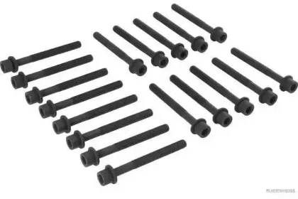 Комплект болтов головки цилидра HERTH+BUSS JAKOPARTS купить