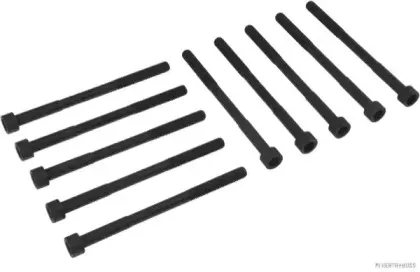 Комплект болтов головки цилидра HERTH+BUSS JAKOPARTS купить